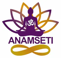 Anamseti Logo